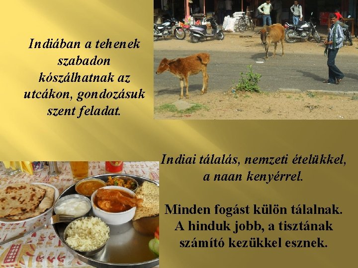 Indiában a tehenek szabadon kószálhatnak az utcákon, gondozásuk szent feladat. Indiai tálalás, nemzeti ételükkel,