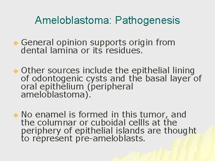 Ameloblastoma: Pathogenesis u u u General opinion supports origin from dental lamina or its
