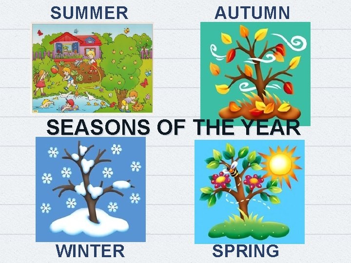 SUMMER AUTUMN SEASONS OF THE YEAR WINTER SPRING 