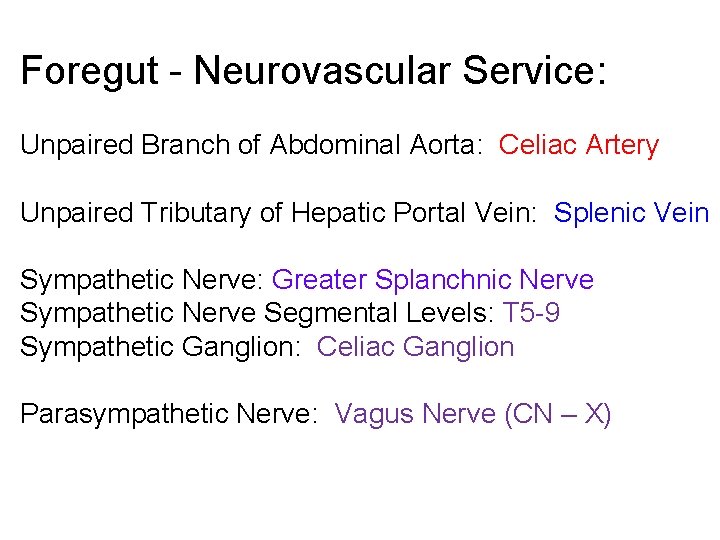 Foregut - Neurovascular Service: Unpaired Branch of Abdominal Aorta: Celiac Artery Unpaired Tributary of