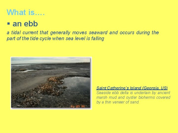 What is…. § an ebb a tidal current that generally moves seaward and occurs