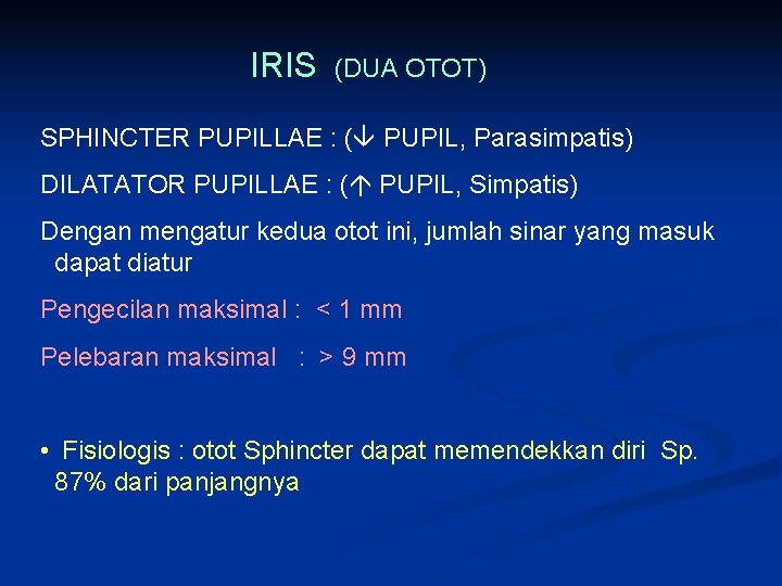 IRIS (DUA OTOT) SPHINCTER PUPILLAE : ( PUPIL, Parasimpatis) DILATATOR PUPILLAE : ( PUPIL,
