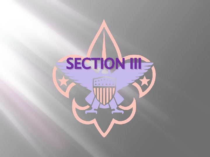 SECTION III 