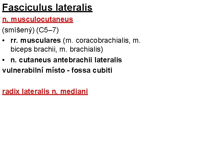 Fasciculus lateralis n. musculocutaneus (smíšený) (C 5– 7) • rr. musculares (m. coracobrachialis, m.