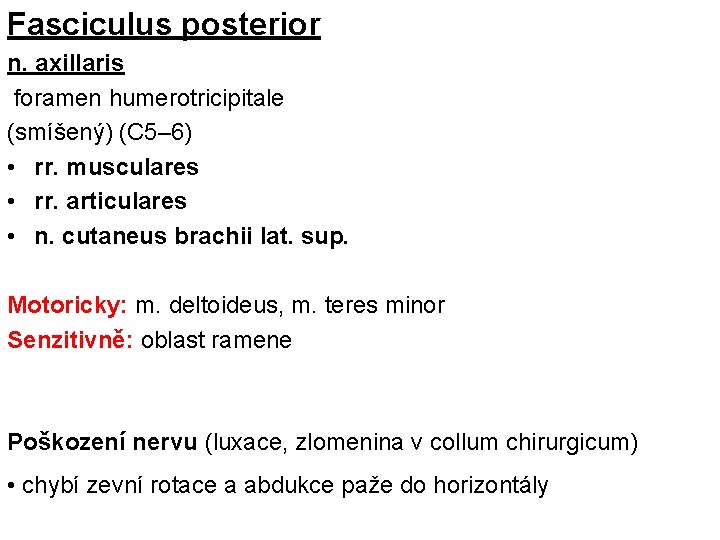 Fasciculus posterior n. axillaris foramen humerotricipitale (smíšený) (C 5– 6) • rr. musculares •