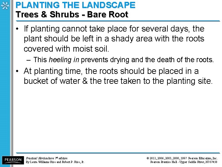 PLANTING THE LANDSCAPE Trees & Shrubs - Bare Root • If planting cannot take