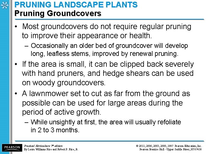 PRUNING LANDSCAPE PLANTS Pruning Groundcovers • Most groundcovers do not require regular pruning to