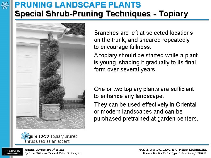 PRUNING LANDSCAPE PLANTS Special Shrub-Pruning Techniques - Topiary Special Shrub-Pruning Techniques - Branches are