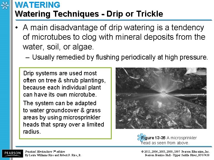 WATERING Watering Techniques - Drip or Trickle Watering Techniques - • A main disadvantage