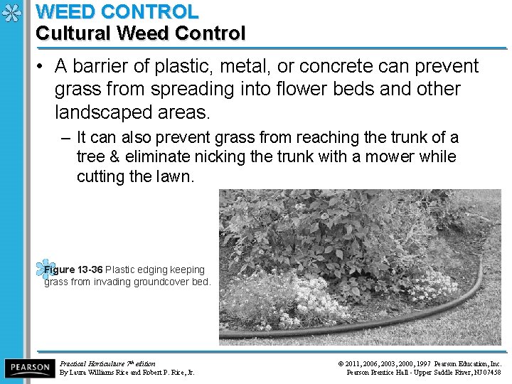 WEED CONTROL Cultural Weed Control • A barrier of plastic, metal, or concrete can