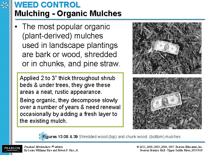 WEED CONTROL Mulching - Organic Mulches • The most popular organic (plant-derived) mulches used