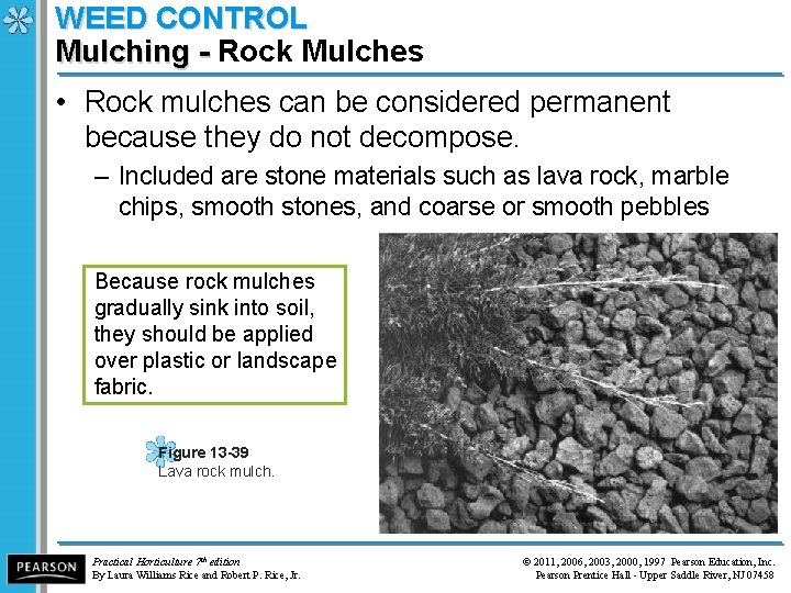 WEED CONTROL Mulching - Rock Mulches Mulching - • Rock mulches can be considered