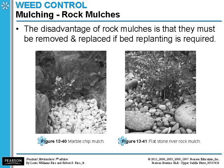 WEED CONTROL Mulching - Rock Mulches Mulching - • The disadvantage of rock mulches