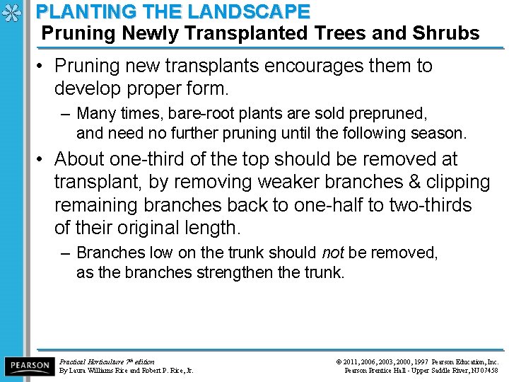 PLANTING THE LANDSCAPE Pruning Newly Transplanted Trees and Shrubs • Pruning new transplants encourages