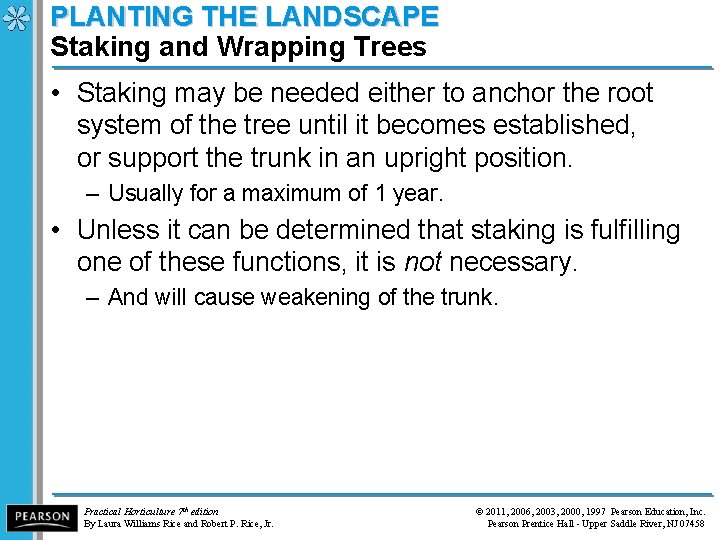 PLANTING THE LANDSCAPE Staking and Wrapping Trees • Staking may be needed either to