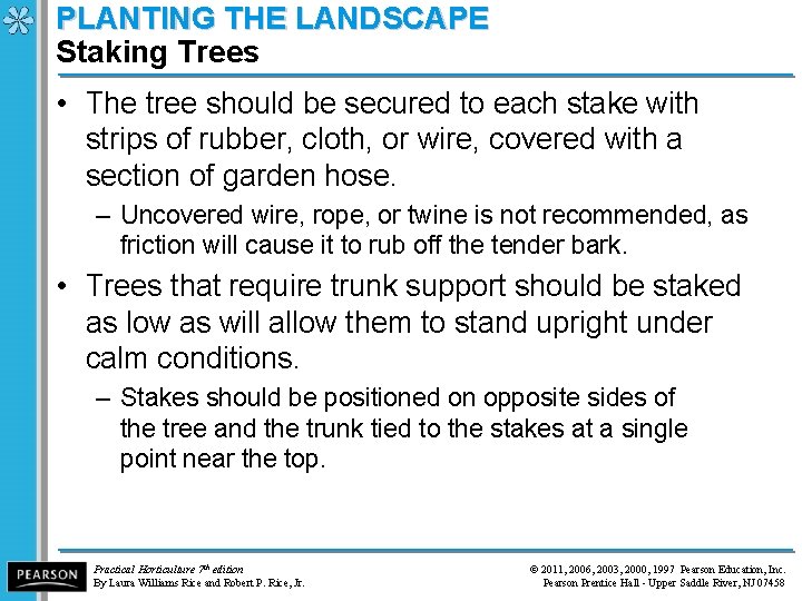 PLANTING THE LANDSCAPE Staking Trees • The tree should be secured to each stake