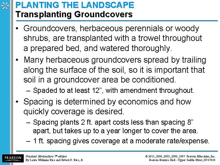 PLANTING THE LANDSCAPE Transplanting Groundcovers • Groundcovers, herbaceous perennials or woody shrubs, are transplanted