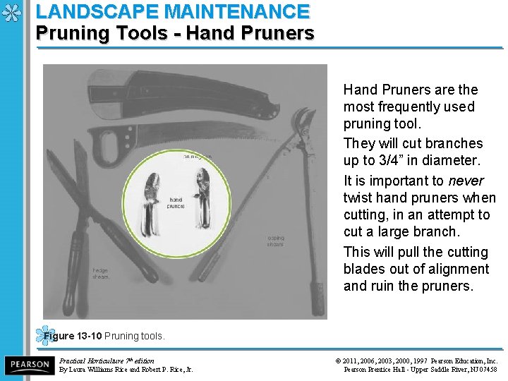 LANDSCAPE MAINTENANCE Pruning Tools - Hand Pruners are the most frequently used pruning tool.