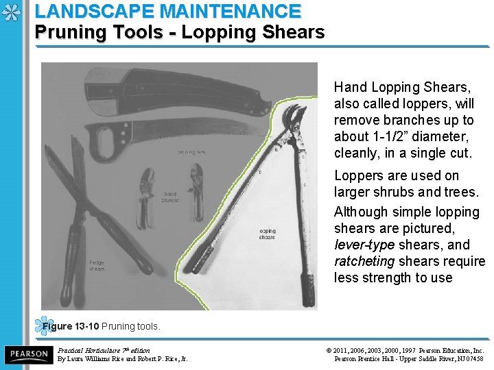 LANDSCAPE MAINTENANCE Pruning Tools - Lopping Shears Pruning Tools - Hand Lopping Shears, also