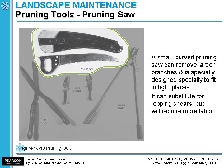 LANDSCAPE MAINTENANCE Pruning Tools - Pruning Saw Pruning Tools - A small, curved pruning