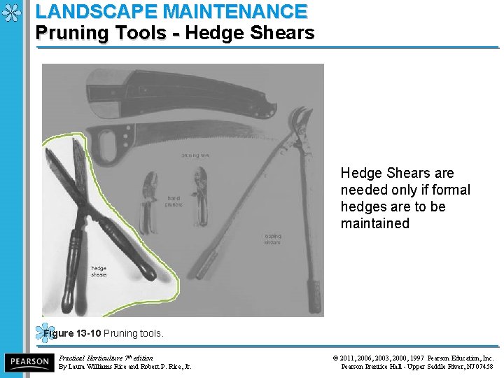 LANDSCAPE MAINTENANCE Pruning Tools - Hedge Shears Pruning Tools - Hedge Shears are needed