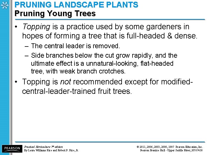 PRUNING LANDSCAPE PLANTS Pruning Young Trees • Topping is a practice used by some