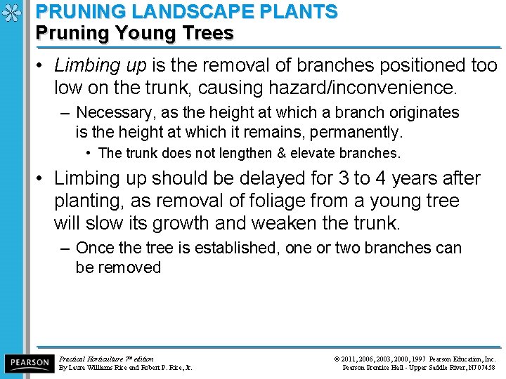 PRUNING LANDSCAPE PLANTS Pruning Young Trees • Limbing up is the removal of branches