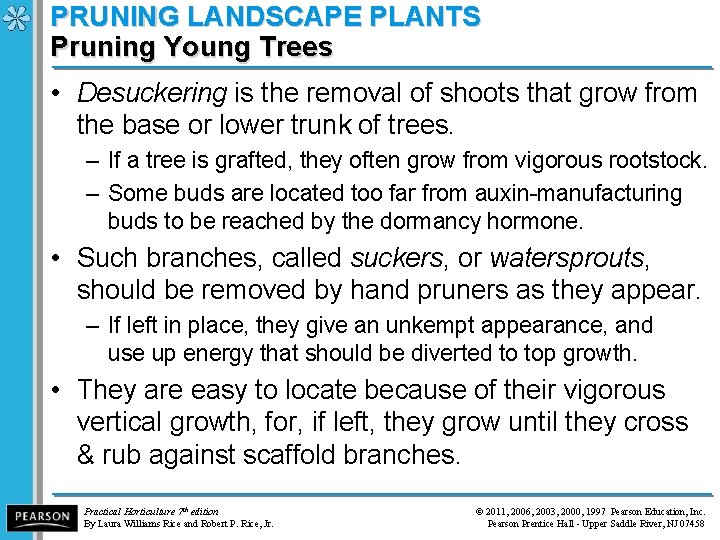 PRUNING LANDSCAPE PLANTS Pruning Young Trees • Desuckering is the removal of shoots that