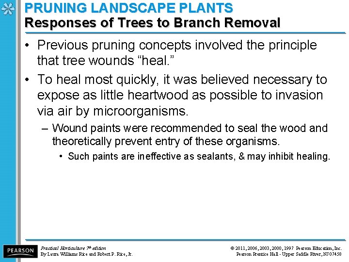 PRUNING LANDSCAPE PLANTS Responses of Trees to Branch Removal • Previous pruning concepts involved