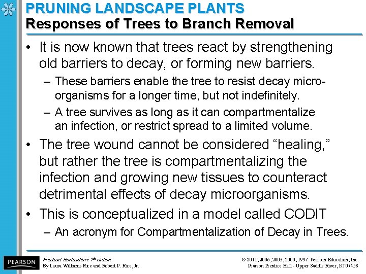 PRUNING LANDSCAPE PLANTS Responses of Trees to Branch Removal • It is now known