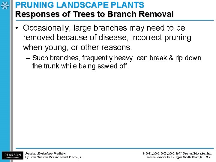 PRUNING LANDSCAPE PLANTS Responses of Trees to Branch Removal • Occasionally, large branches may