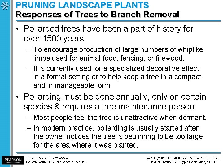 PRUNING LANDSCAPE PLANTS Responses of Trees to Branch Removal • Pollarded trees have been