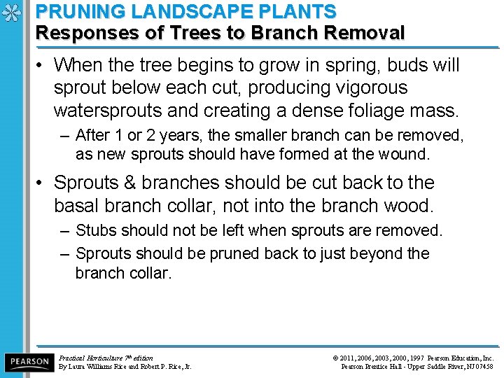 PRUNING LANDSCAPE PLANTS Responses of Trees to Branch Removal • When the tree begins