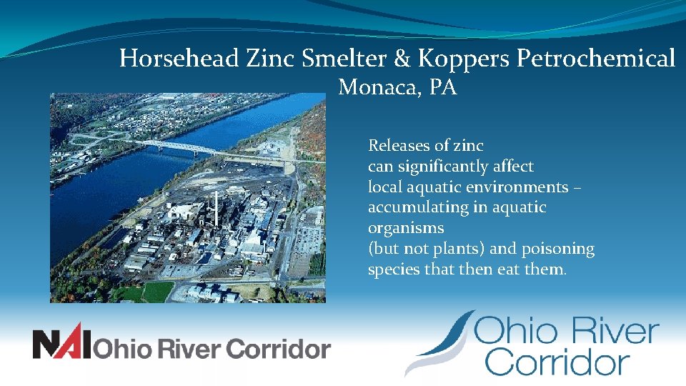 Horsehead Zinc Smelter & Koppers Petrochemical Monaca, PA Releases of zinc can significantly affect
