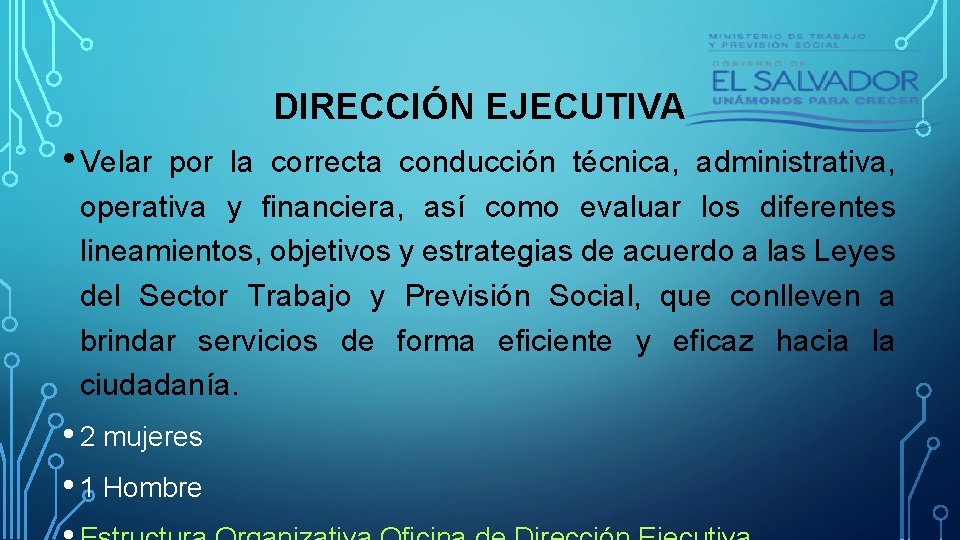 DIRECCIÓN EJECUTIVA • Velar por la correcta conducción técnica, administrativa, operativa y financiera, así