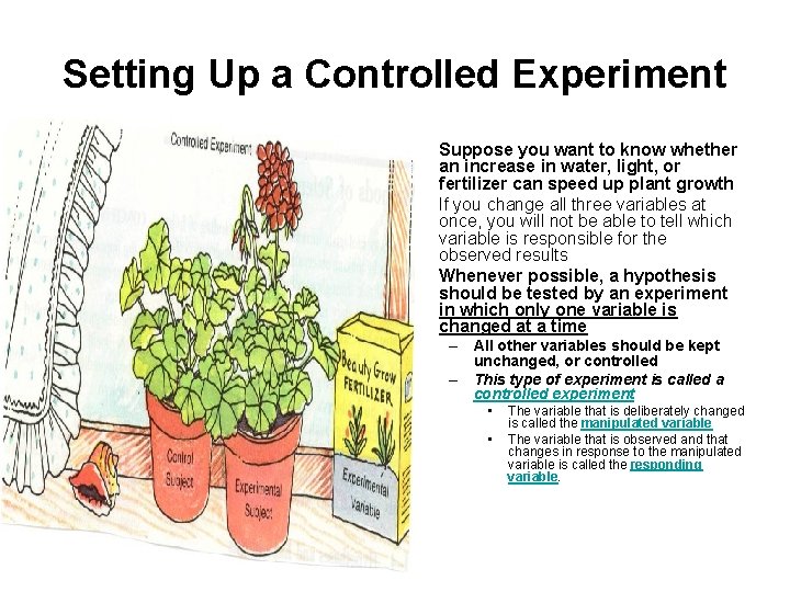Setting Up a Controlled Experiment • • • Suppose you want to know whether