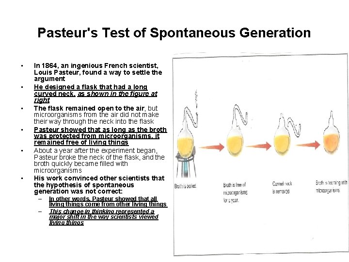 Pasteur's Test of Spontaneous Generation • • • In 1864, an ingenious French scientist,