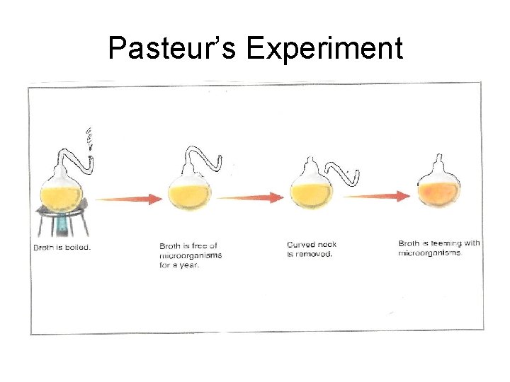 Pasteur’s Experiment 
