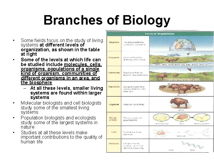 Branches of Biology • • • Some fields focus on the study of living