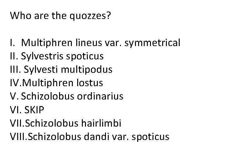 Who are the quozzes? I. Multiphren lineus var. symmetrical II. Sylvestris spoticus III. Sylvesti