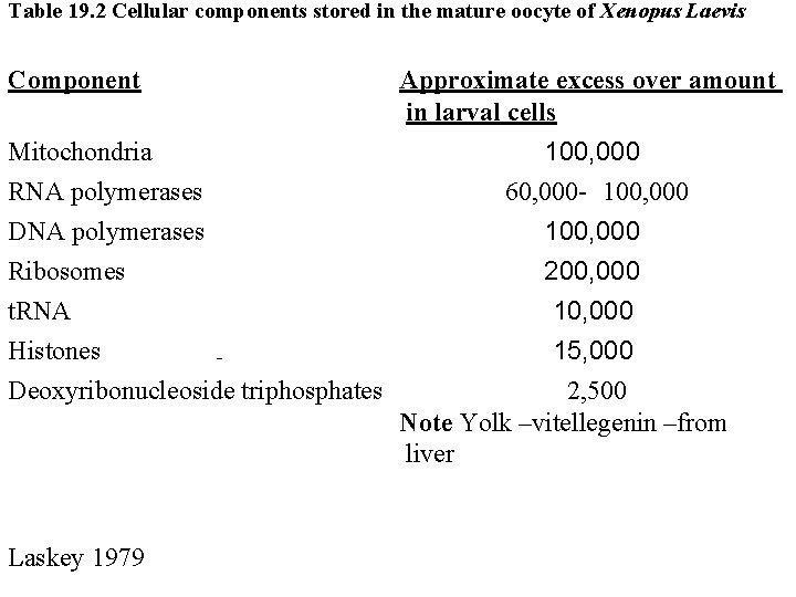 Table 19. 2 Cellular components stored in the mature oocyte of Xenopus Laevis Component
