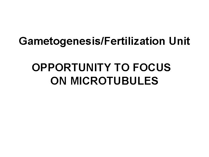 Gametogenesis/Fertilization Unit OPPORTUNITY TO FOCUS ON MICROTUBULES 