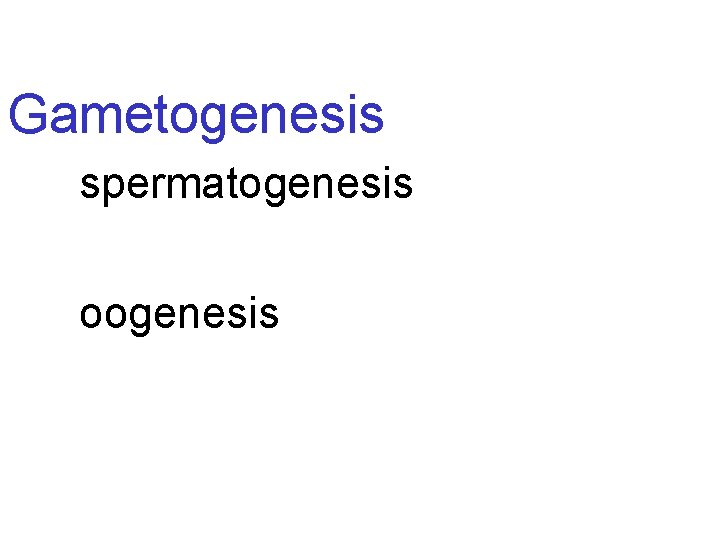 Gametogenesis spermatogenesis oogenesis 