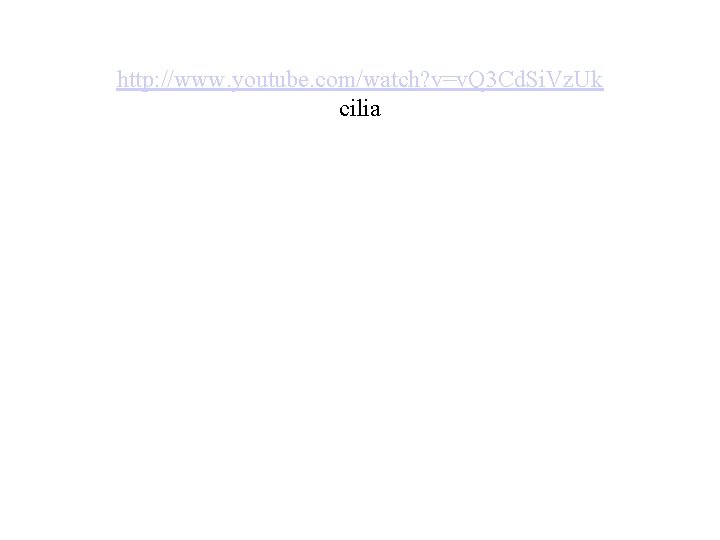 http: //www. youtube. com/watch? v=v. Q 3 Cd. Si. Vz. Uk cilia 