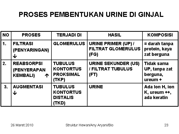 PROSES PEMBENTUKAN URINE DI GINJAL NO PROSES TERJADI DI HASIL KOMPOSISI 1. FILTRASI GLOMERULUS