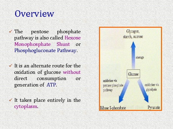 Overview ü The pentose phosphate pathway is also called Hexose Monophosphate Shunt or Phosphogluconate