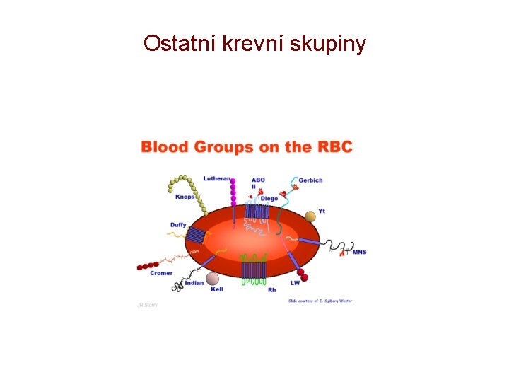 Ostatní krevní skupiny 
