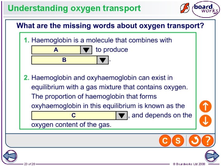 Understanding oxygen transport 23 of 28 © Boardworks Ltd 2008 