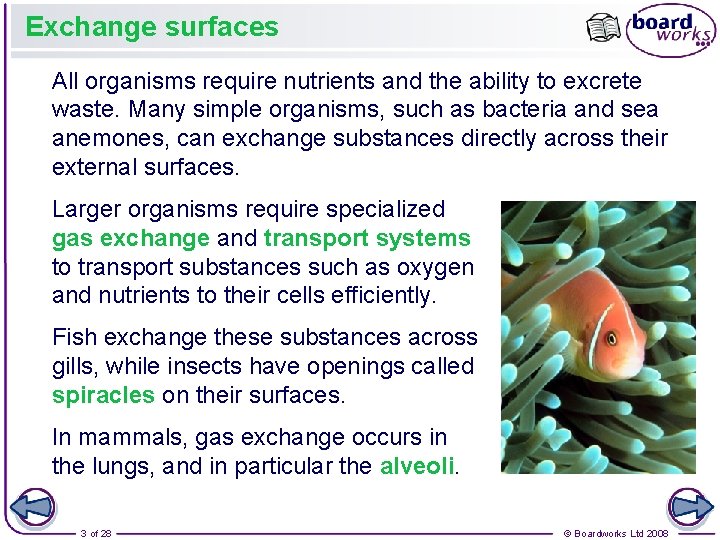 Exchange surfaces All organisms require nutrients and the ability to excrete waste. Many simple