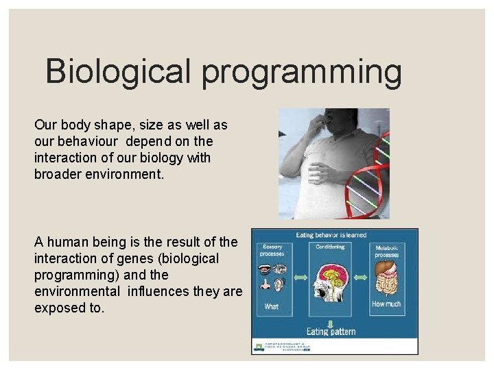 Biological programming Our body shape, size as well as our behaviour depend on the